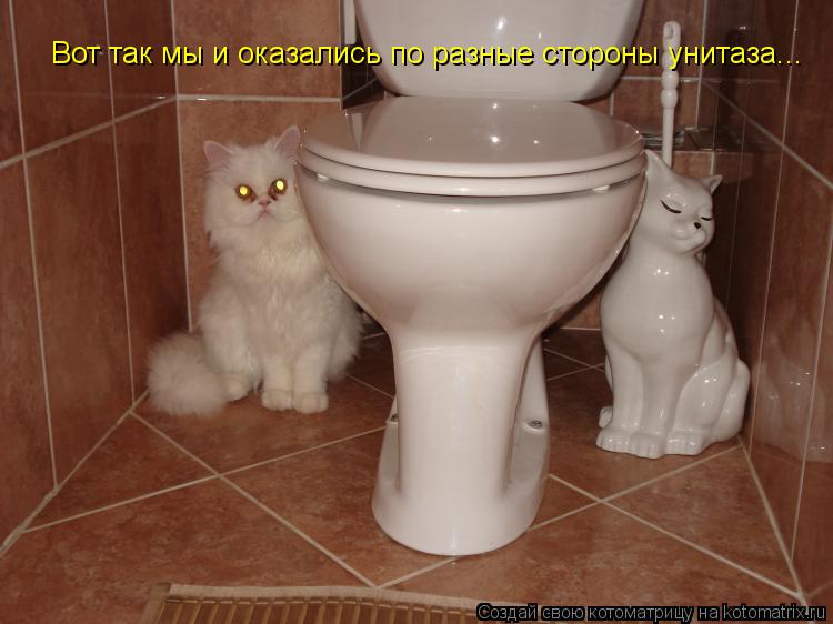 Котоматрица: Вот так мы и оказались по разные стороны унитаза...