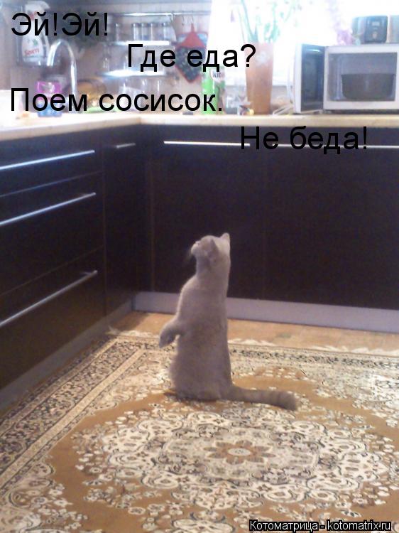 Котоматрица: Где еда? Поем сосисок. Эй!Эй! Не беда!