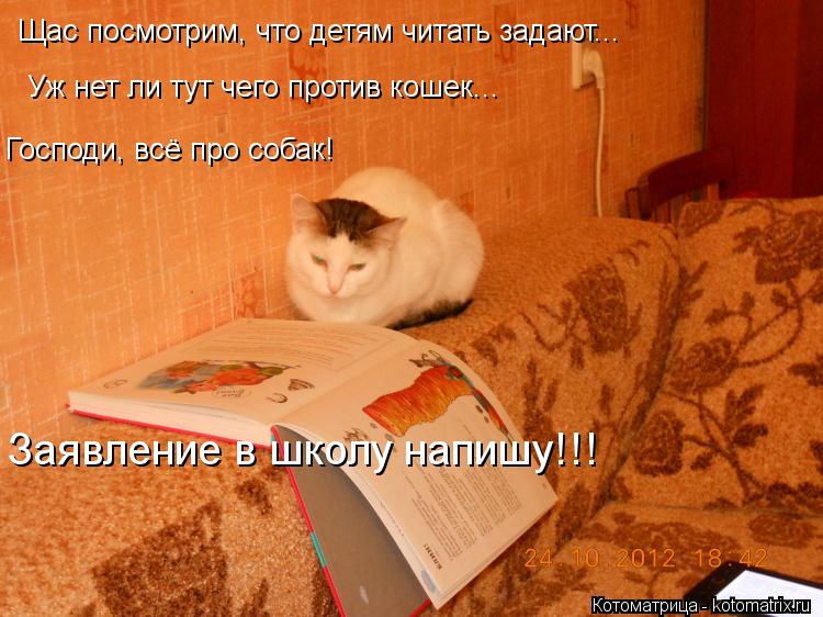 Котоматрица: Щас посмотрим, что детям читать задают... Уж нет ли тут чего против кошек... Господи, всё про собак! Заявление в школу напишу!!!
