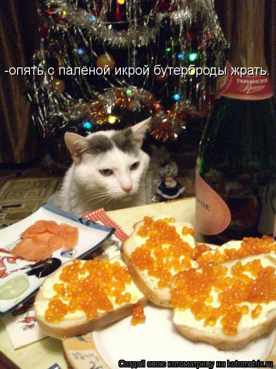 Котоматрица: -опять с палёной икрой бутерброды жрать.