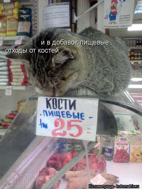 Котоматрица: и в добавок пищевые отходы от костей