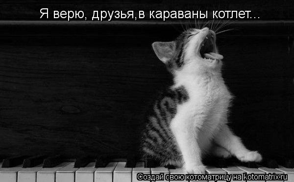 Я верю, друзья,в караваны котлет...... Котоматрица: Я верю, друзья,в караваны котлет...