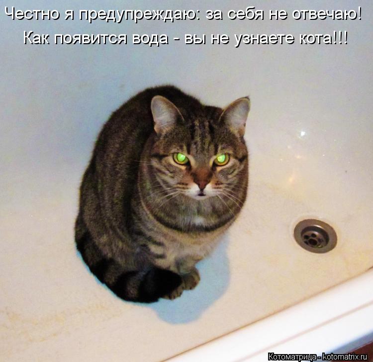 Котоматрица: Честно я предупреждаю: за себя не отвечаю! Как появится вода - вы не узнаете кота!!!