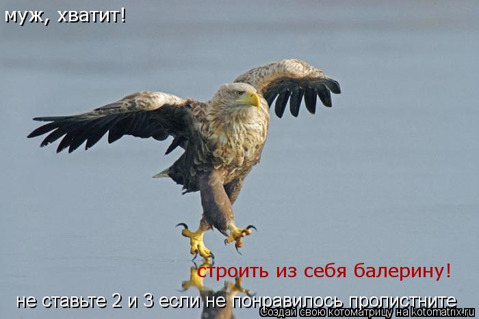 Котоматрица: муж, хватит!  строить из себя балерину! не ставьте 2 и 3 если не понравилось пролистните