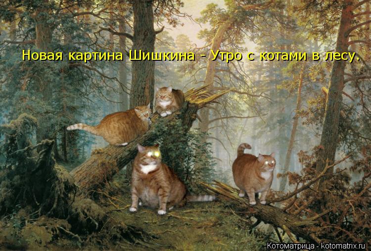 Котоматрица: Новая картина Шишкина - Утро с котами в лесу.
