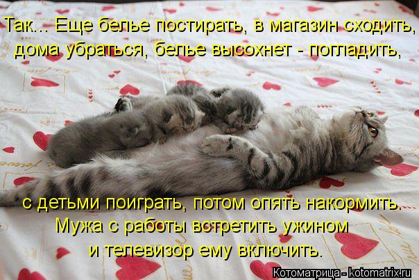 Так... Еще белье постирать, в магазин сходить, дома убраться, белье высохнет - погладить, с детьми п... Котоматрица: Так... Еще белье постирать, в магазин сходить, дома убраться, белье высохнет - погладить, с детьми поиграть, потом опять накормить. Мужа с раб