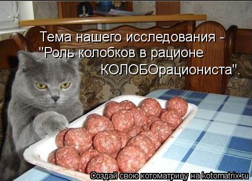 Тема нашего исследования - "Роль колобков в рационе КОЛОБОрациониста".... Котоматрица: Тема нашего исследования - "Роль колобков в рационе КОЛОБОрациониста".