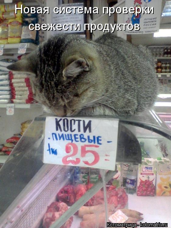 Котоматрица: Новая система проверки свежести продуктов