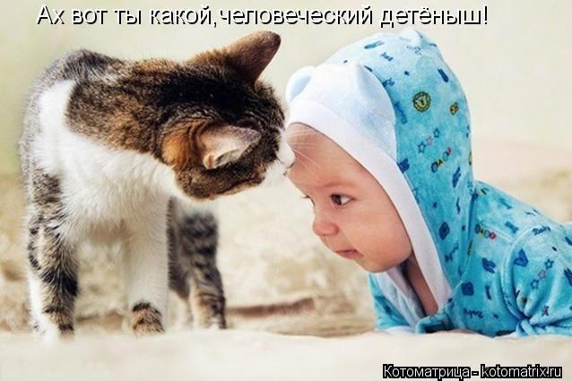 Котоматрица: Ах вот ты какой,человеческий детёныш!