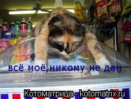 Котоматрица: всё моё,никому не дам