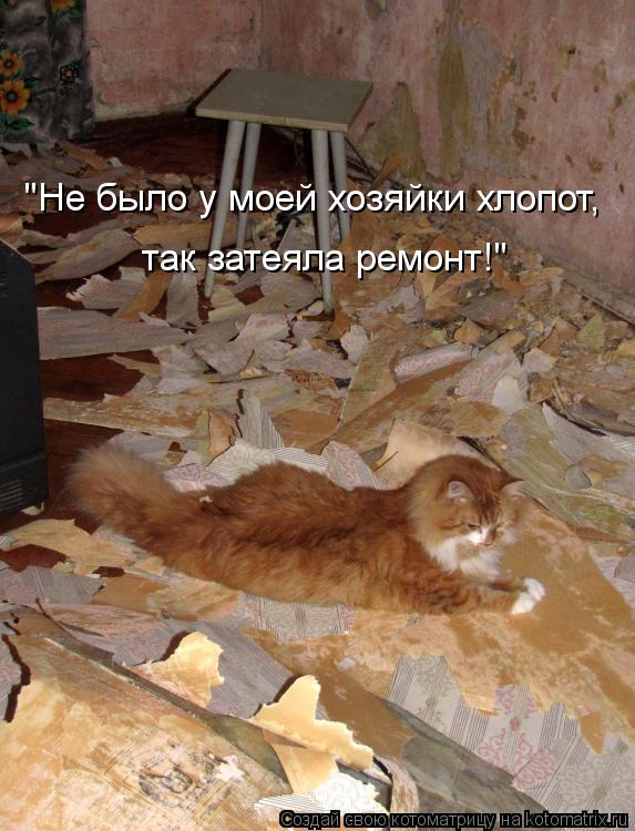 "Не было у моей хозяйки хлопот, так затеяла ремонт!"... Котоматрица: "Не было у моей хозяйки хлопот, так затеяла ремонт!"