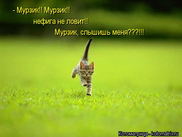 - Мурзик!! Мурзик!! нефига не ловит!! Мурзик, слышишь меня???!!!... Котоматрица: - Мурзик!! Мурзик!! нефига не ловит!! Мурзик, слышишь меня???!!!