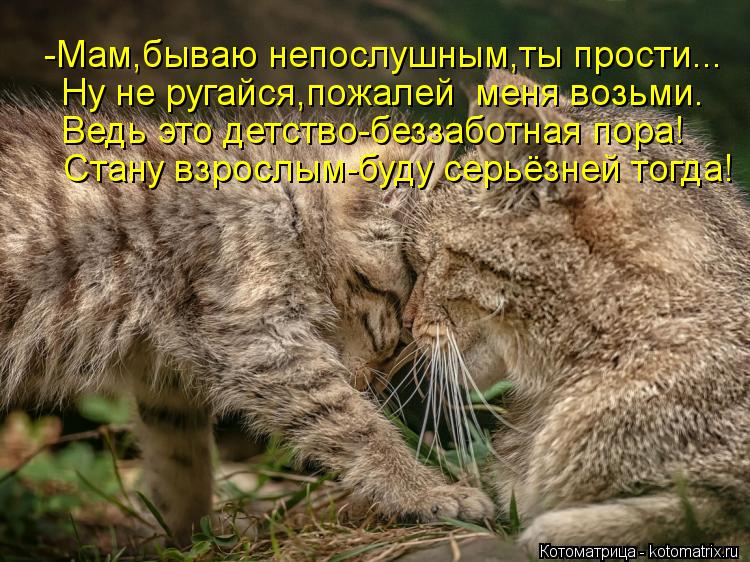 Котоматрица: -Мам,бываю непослушным,ты прости... Ну не ругайся,пожалей  меня возьми. Ведь это детство-беззаботная пора! Стану взрослым-буду серьёзней тогд