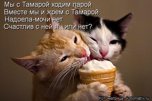 Котоматрица: Мы с Тамарой ходим парой Вместе мы и жрем с Тамарой Надоела-мочи нет Счастлив с ней я...или нет?