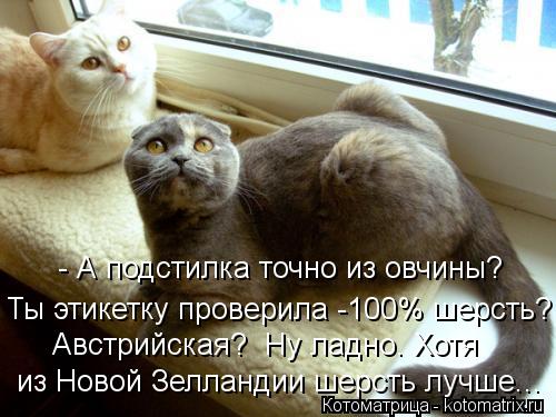 Котоматрица: - А подстилка точно из овчины? Ты этикетку проверила -100% шерсть? Австрийская?  Ну ладно. Хотя из Новой Зелландии шерсть лучше...