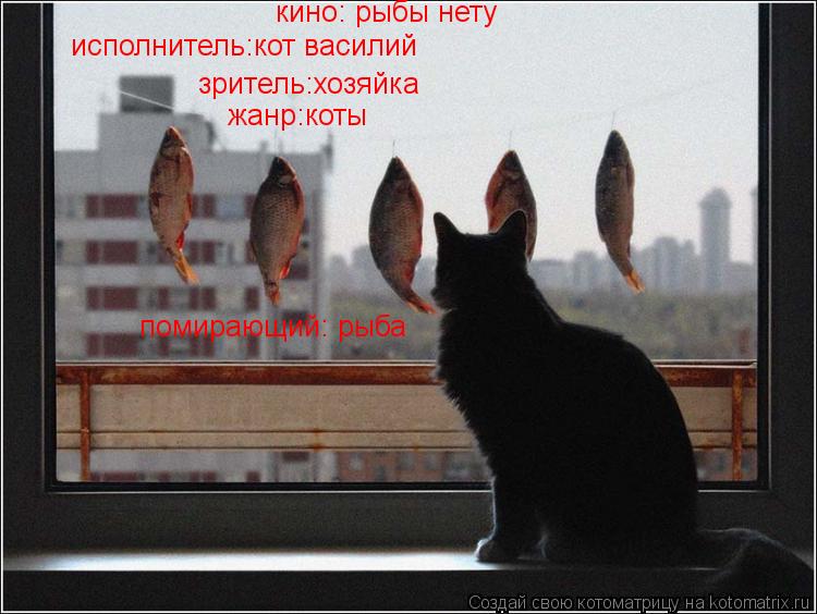 Котоматрица: кино: рыбы нету исполнитель:кот василий зритель:хозяйка жанр:коты помирающий: рыба