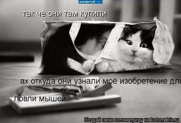 Котоматрица: так чё они там купили  ах откуда они узнали моё изобретение для ловли мышей