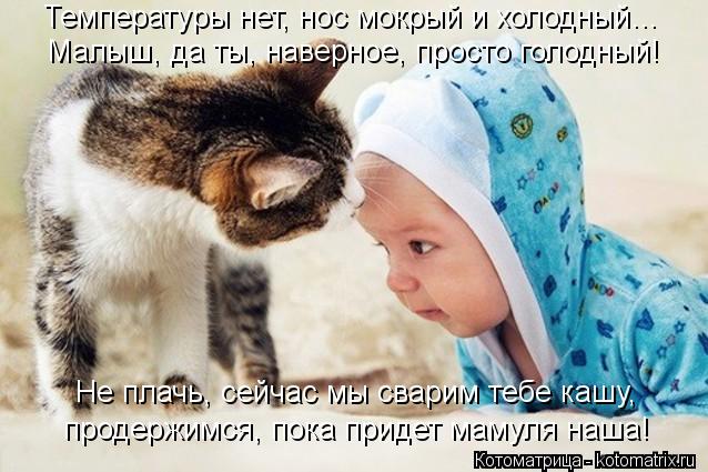 Котоматрица: Температуры нет, нос мокрый и холодный… Малыш, да ты, наверное, просто голодный! Не плачь, сейчас мы сварим тебе кашу, продержимся, пока прид