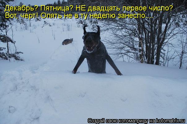 Декабрь? Пятница? НЕ двадцать первое число? Вот, черт! Опять не в ту неделю занесло....... Котоматрица: Декабрь? Пятница? НЕ двадцать первое число? Вот, черт! Опять не в ту неделю занесло....
