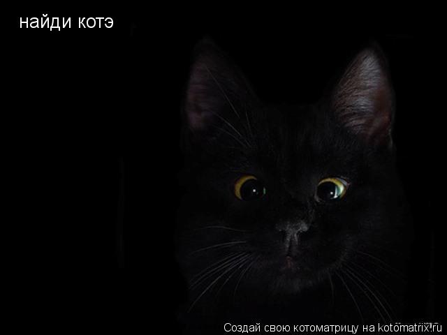 Котоматрица: найди котэ