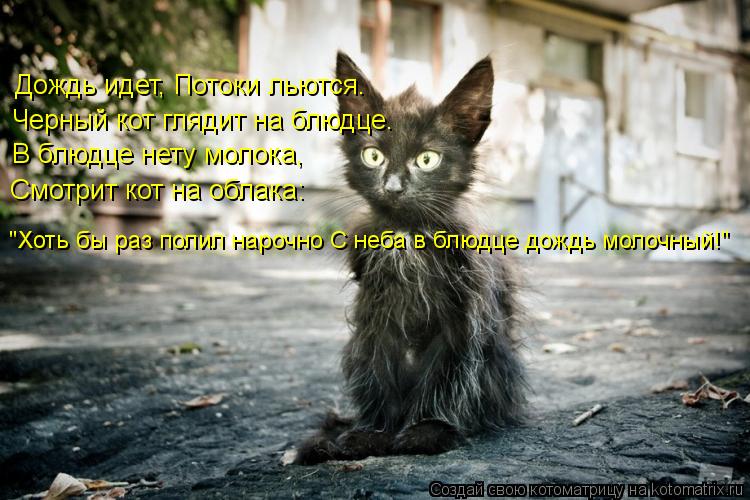 Котоматрица: Дождь идет, Потоки льются. Черный кот глядит на блюдце. В блюдце нету молока,  Смотрит кот на облака: "Хоть бы раз полил нарочно С неба в блюдц