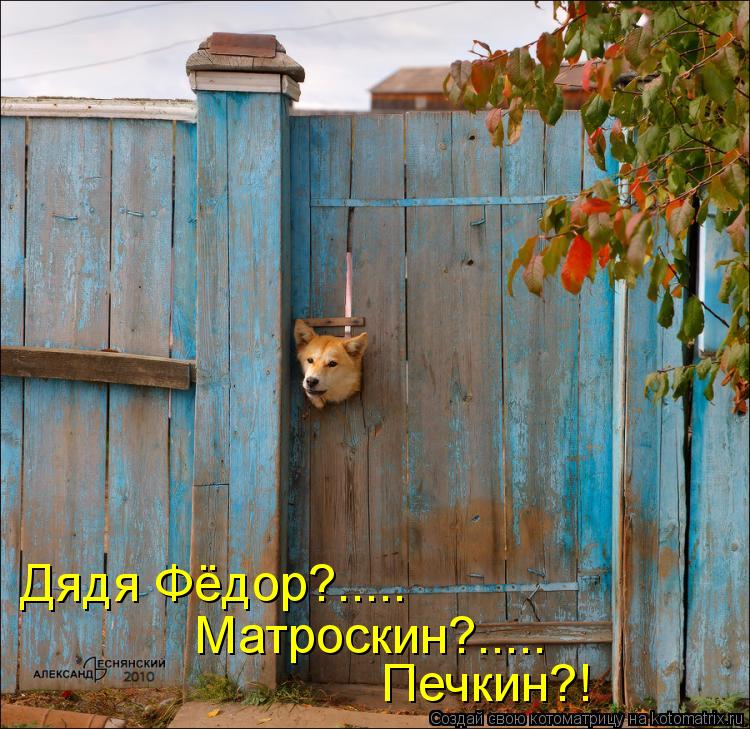 Котоматрица: Дядя Фёдор?..... Матроскин?..... Печкин?!