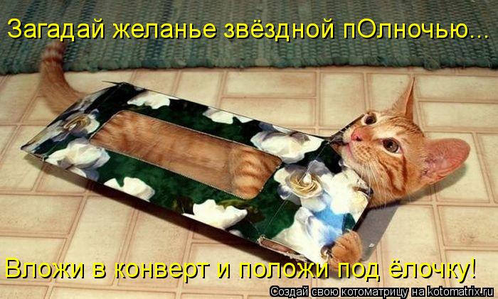 Загадай желанье звёздной пОлночью... Вложи в конверт и положи под ёлочку!... Котоматрица: Загадай желанье звёздной пОлночью... Вложи в конверт и положи под ёлочку!