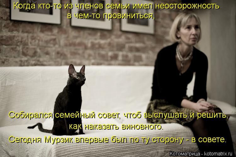 Когда кто-то из членов семьи имел неосторожность в чем-то провиниться, Собирался семейный совет, что... Котоматрица: Когда кто-то из членов семьи имел неосторожность в чем-то провиниться, Собирался семейный совет, чтоб выслушать и решить, как наказать вин