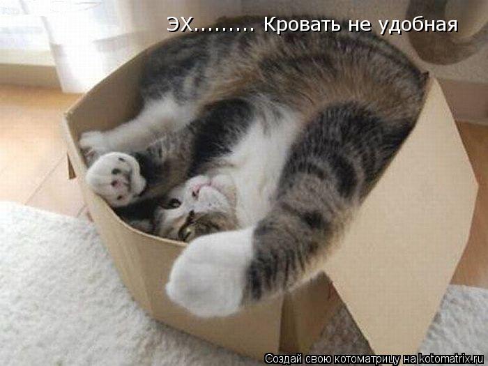 Котоматрица: ЭХ......... Кровать не удобная