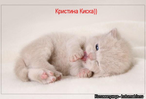 Котоматрица: Кристина Киска))