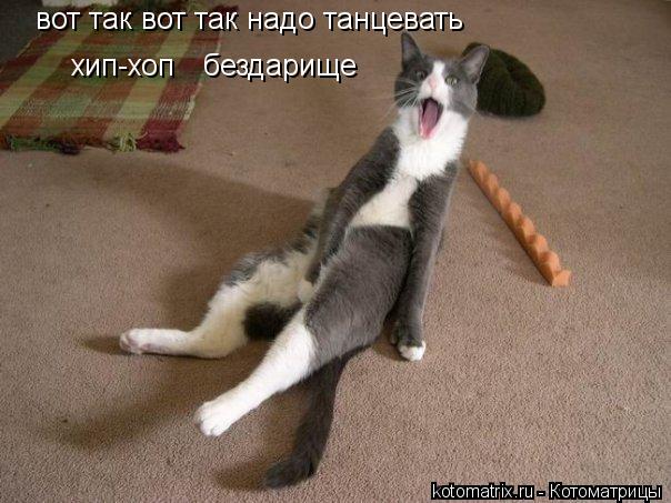 Котоматрица: вот так вот так надо танцевать хип-хоп  бездарище