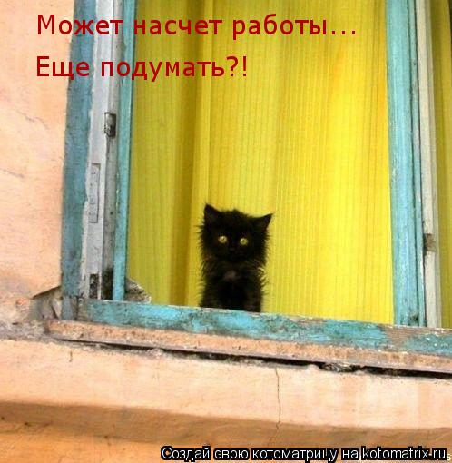 Котоматрица: Может насчет работы... Еще подумать?!