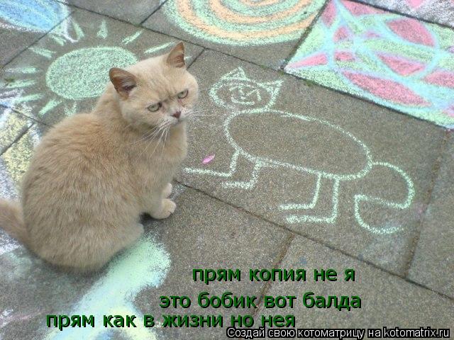 Котоматрица: прям копия не я это бобик вот балда прям как в жизни но нея