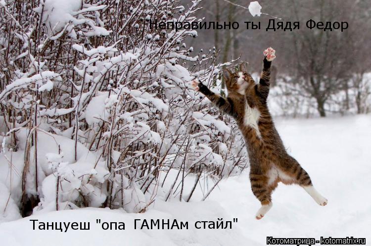 Котоматрица: Неправильно ты Дядя Федор Танцуеш "опа         ГАМНАм стайл"