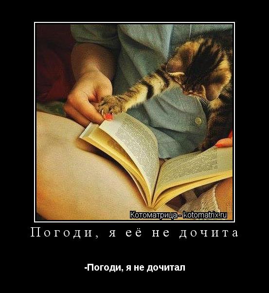 Котоматрица: Погоди, я её не дочита -Погоди, я не дочитал