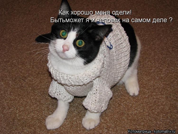 Как хорошо меня одели! Бытьможет я и человек на самом деле ?... Котоматрица: Как хорошо меня одели! Бытьможет я и человек на самом деле ?