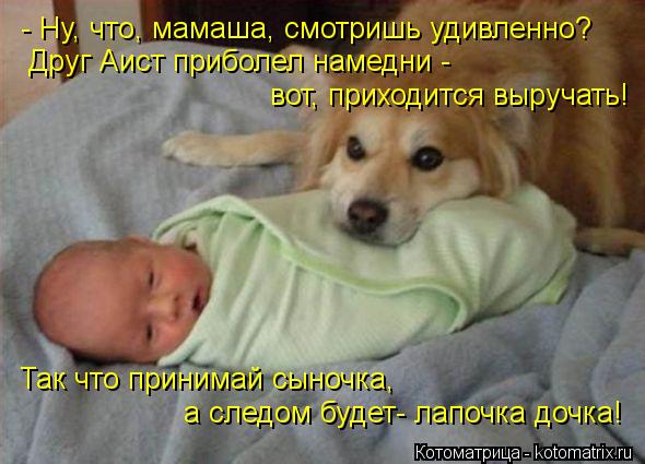 Котоматрица: - Ну, что, мамаша, смотришь удивленно? Друг Аист приболел намедни - вот, приходится выручать! Так что принимай сыночка,  а следом будет- лапочк