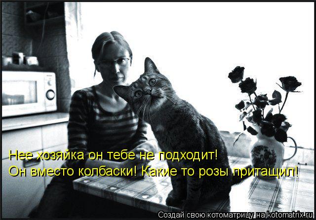 Котоматрица: Нее хозяйка он тебе не подходит! Он вместо колбаски! Какие то розы притащил!
