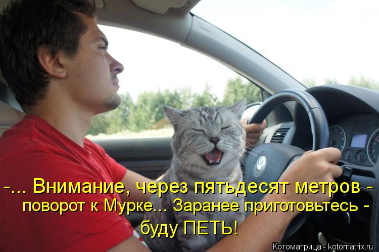 -... Внимание, через пятьдесят метров - поворот к Мурке... Заранее приготовьтесь - буду ПЕТЬ!... Котоматрица: -... Внимание, через пятьдесят метров - поворот к Мурке... Заранее приготовьтесь - буду ПЕТЬ!
