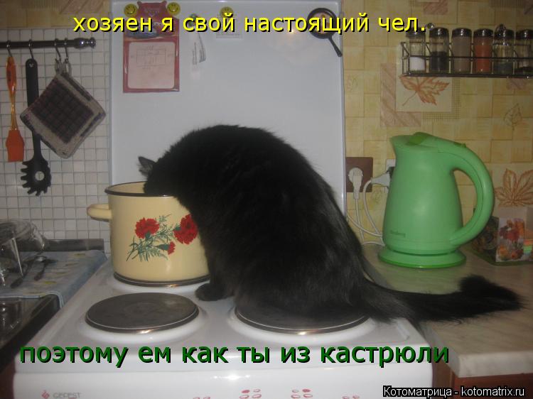 хозяен я свой настоящий чел. поэтому ем как ты из кастрюли... Котоматрица: хозяен я свой настоящий чел. поэтому ем как ты из кастрюли