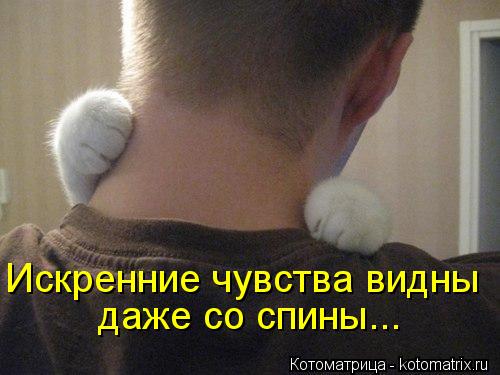 Искренние чувства видны даже со спины...... Котоматрица: Искренние чувства видны даже со спины...
