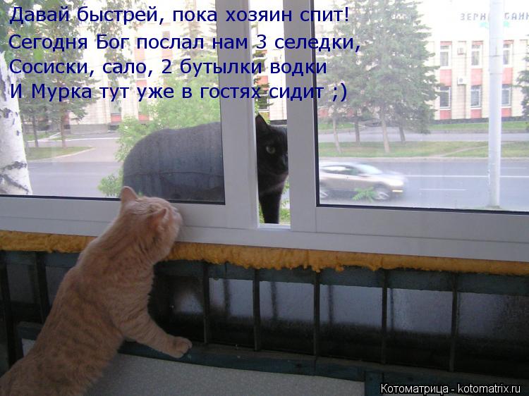 Давай быстрей, пока хозяин спит! Сегодня Бог послал нам 3 селедки, Сосиски, сало, 2 бутылки водки И М... Котоматрица: Давай быстрей, пока хозяин спит! Сегодня Бог послал нам 3 селедки, Сосиски, сало, 2 бутылки водки И Мурка тут уже в гостях сидит ;)