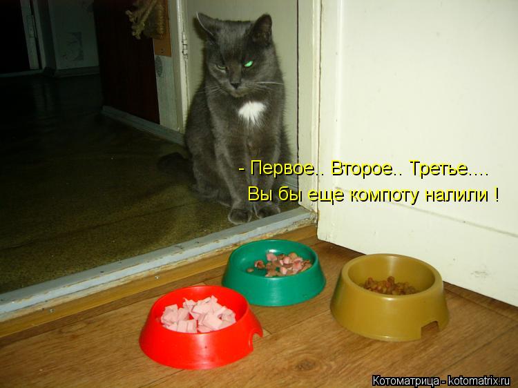Котоматрица: - Первое.. Второе.. Третье.... Вы бы еще компоту налили !