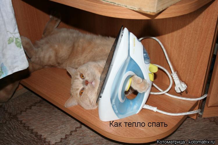 Котоматрица: Как тепло спать