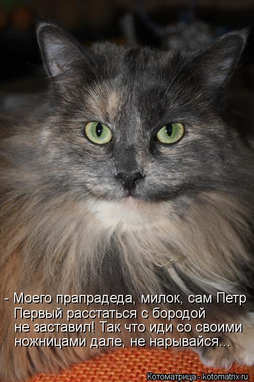 Котоматрица: - Моего прапрадеда, милок, сам Петр  Первый расстаться с бородой  не заставил! Так что иди со своими ножницами дале, не нарывайся...