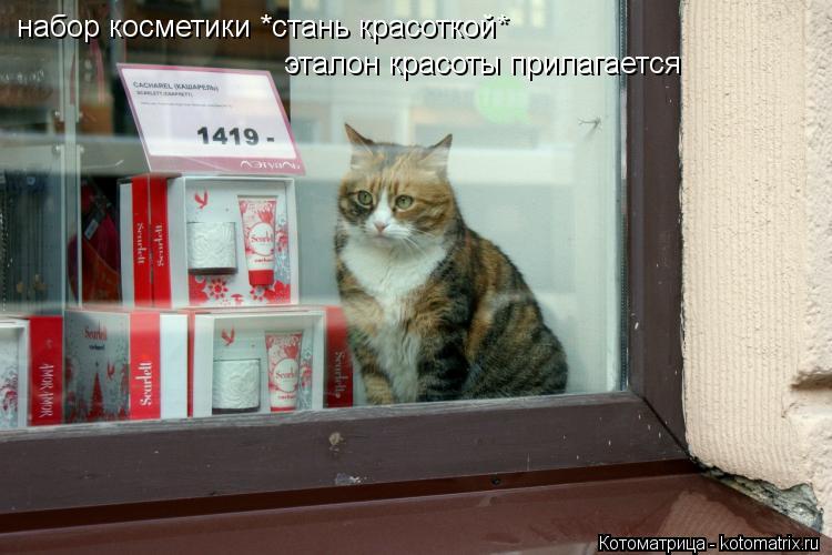 набор косметики *стань красоткой* эталон красоты прилагается... Котоматрица: набор косметики *стань красоткой* эталон красоты прилагается