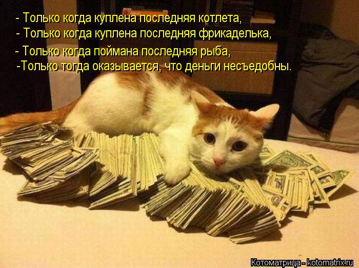 Котоматрица: - Только когда куплена последняя фрикаделька, -Только тогда оказывается, что деньги несъедобны.   - Только когда поймана последняя рыба, - Тол