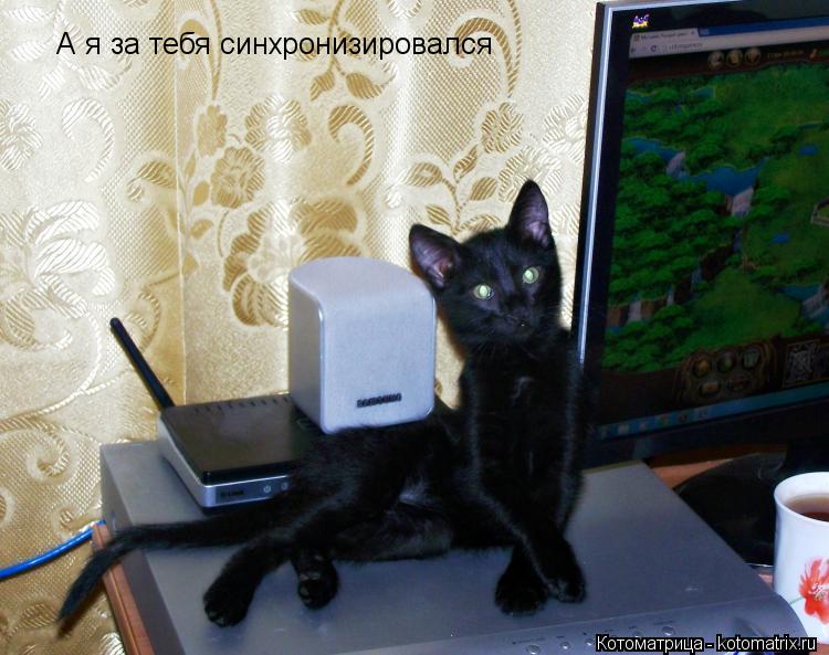 Котоматрица: А я за тебя синхронизировался