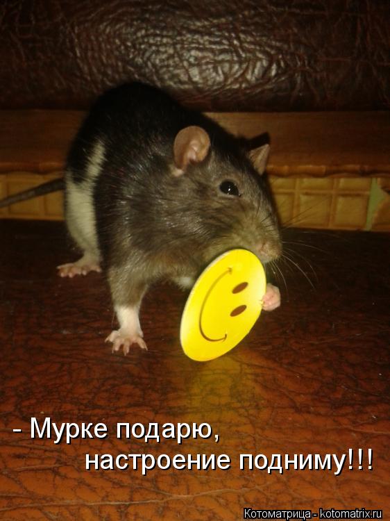 - Мурке подарю, настроение подниму!!!... Котоматрица: - Мурке подарю, настроение подниму!!!