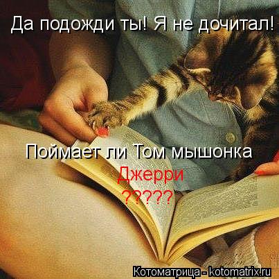 Котоматрица: Да подожди ты! Я не дочитал! Поймает ли Том мышонка  Джерри ?????